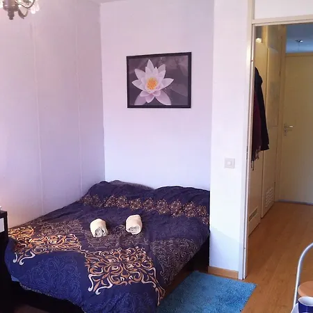 Casa Nueva